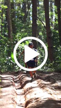 BIB:  <button type="button" onclick="openModal(26569389)" class="btn btn-primary btn-sm float-right" data-toggle="modal" data-target=".modal-high-quality">
                <i class="fa fa-download"></i> Download
                </button>